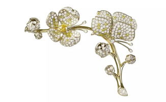 珠光下的動(dòng)物奇趣王國 戴上動(dòng)物，更添時(shí)尚魅力