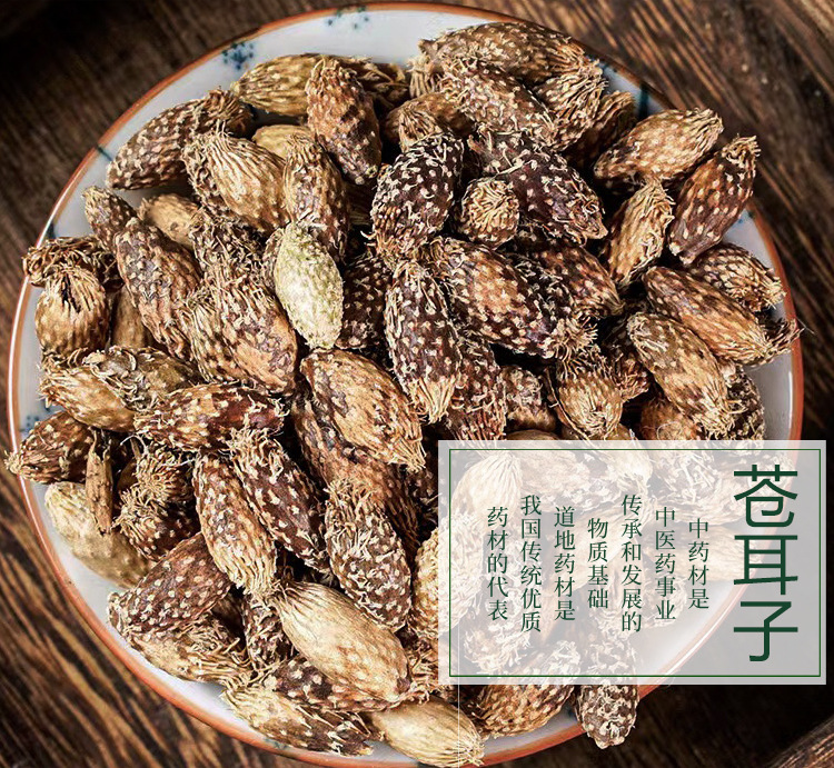 蒼耳子與去刺蒼耳 初級農(nóng)產(chǎn)品的傳統(tǒng)價值與應(yīng)用