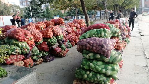 小蘿卜，大愛心 阜南教育助力濛洼地區(qū)貧困戶農(nóng)產(chǎn)品銷售