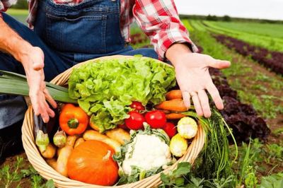 初級農(nóng)產(chǎn)品 定義、監(jiān)管與經(jīng)營許可解讀